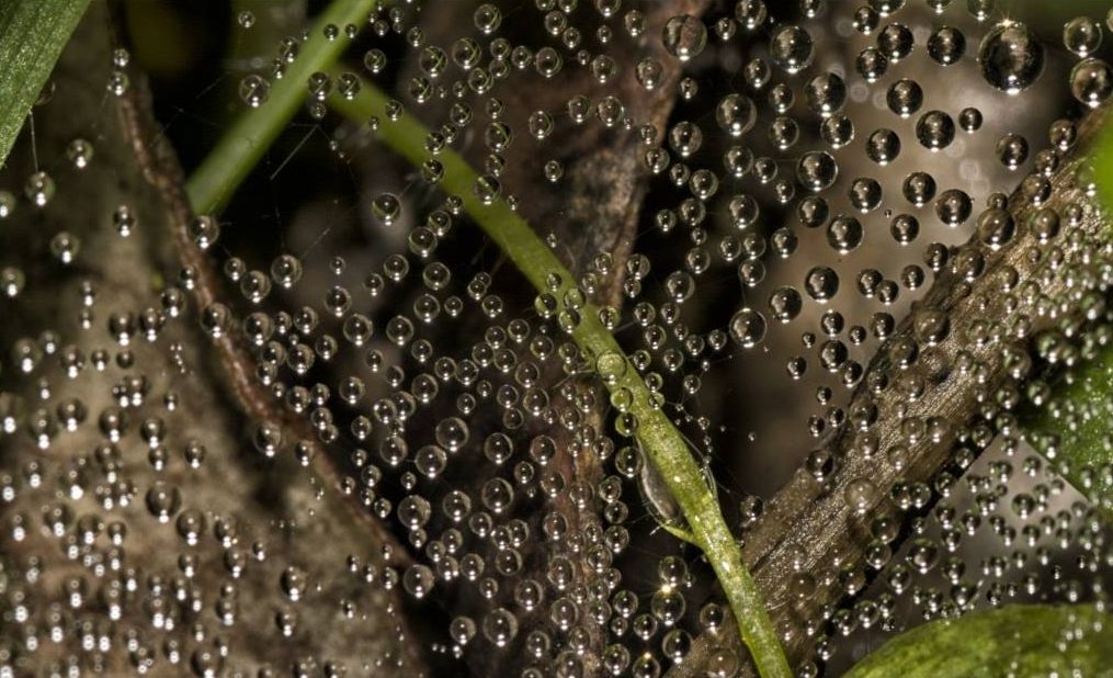 La meraviglia come modalit di vivere: Ostia attraverso il mio sguardo